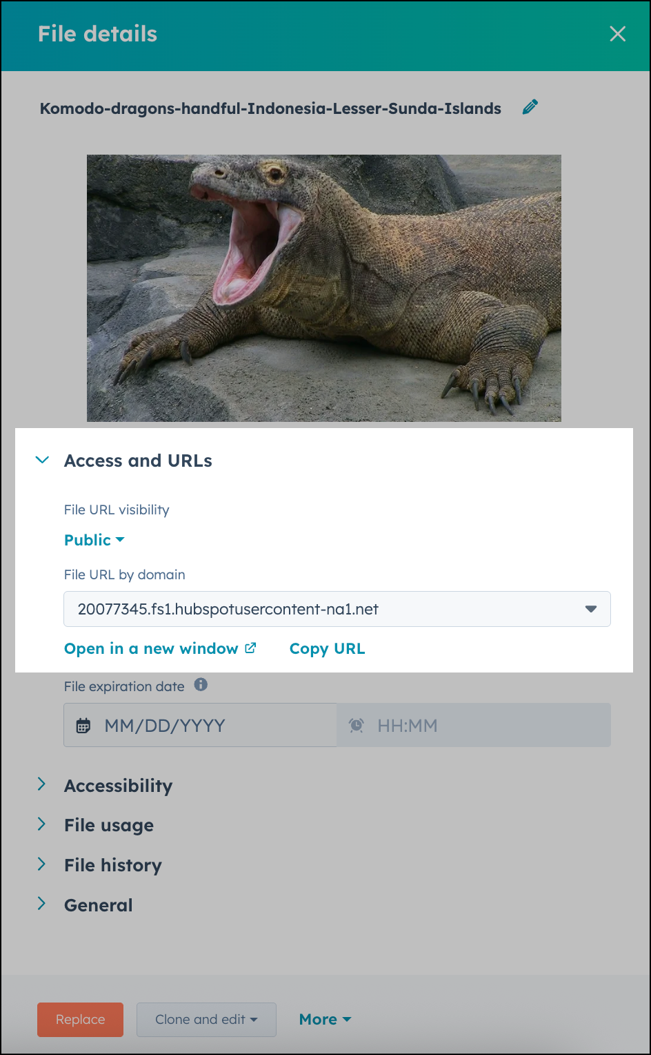 HubSpot file details.