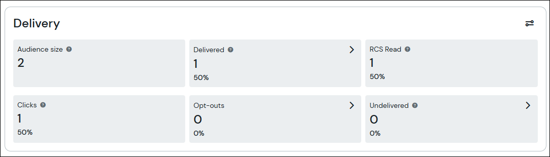 Screenshot des Zustellungsabschnitts der RCS-Kampagnen-Statistiken