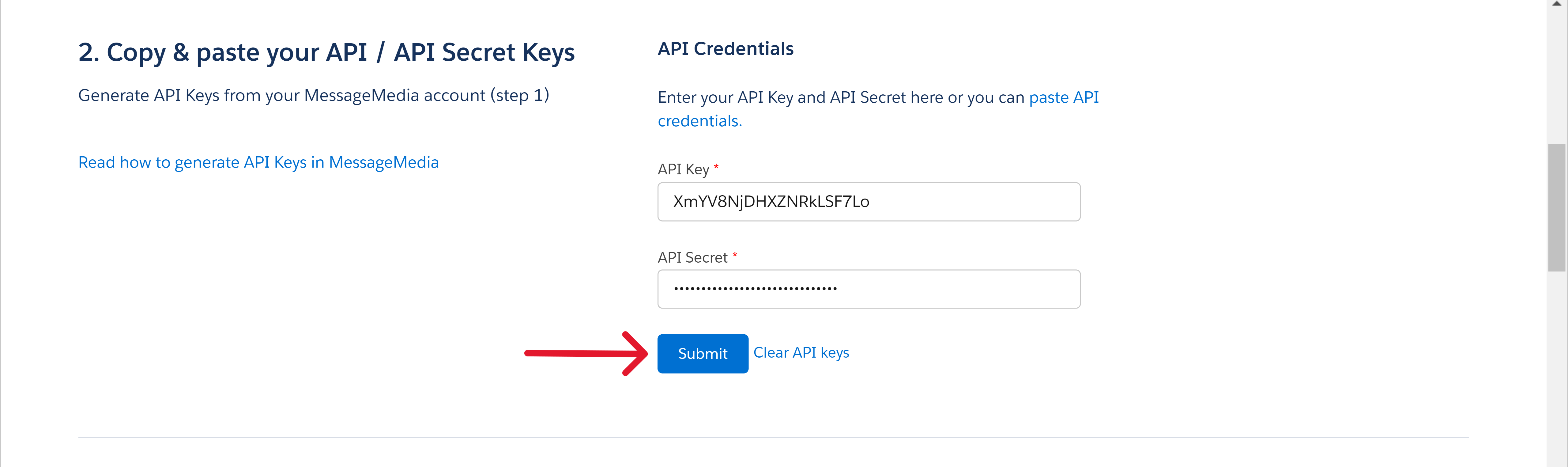Mercury_-_Setup_Copy_and_Paste_API_Info_Pasted_Marked_Up_cropped.png