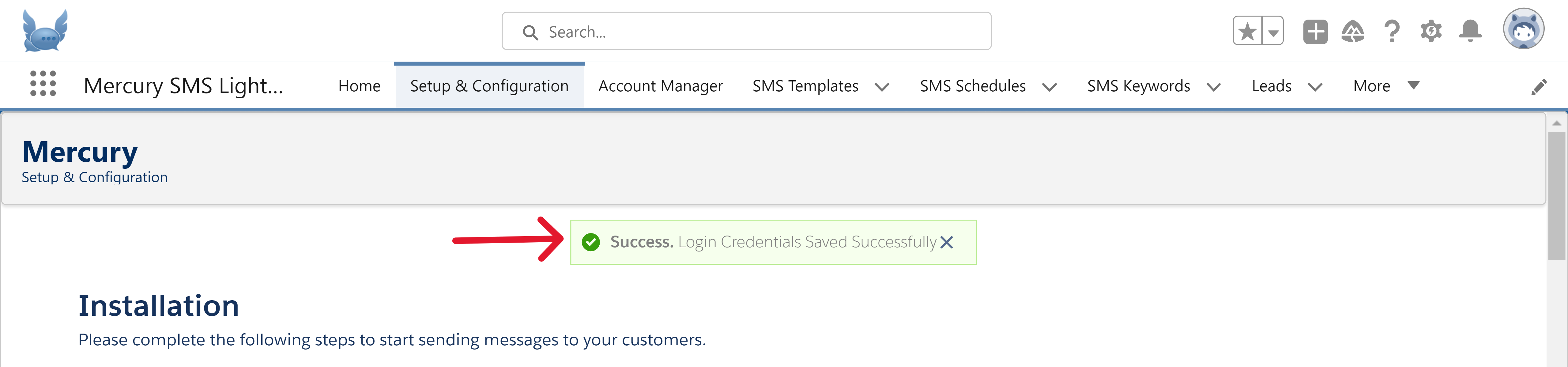 Mercury_-_Setup_API_Info_Saved_Successfully_-_success_message_only.png