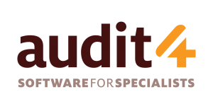 audit4.png
