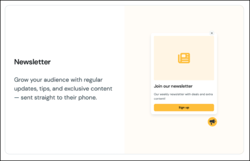 Newsletter e-commerce.